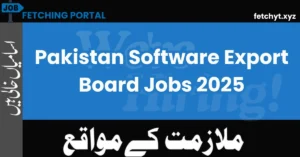 Pakistan Software Export Board Jobs